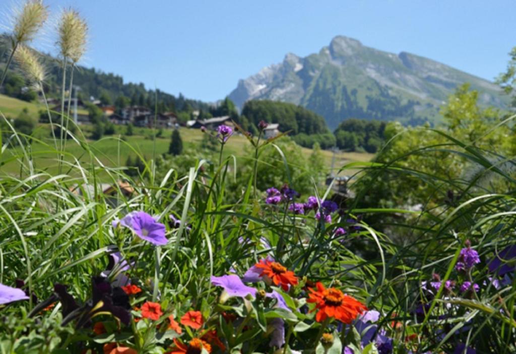 Hotel La Montagne La Clusaz Exteriér fotografie